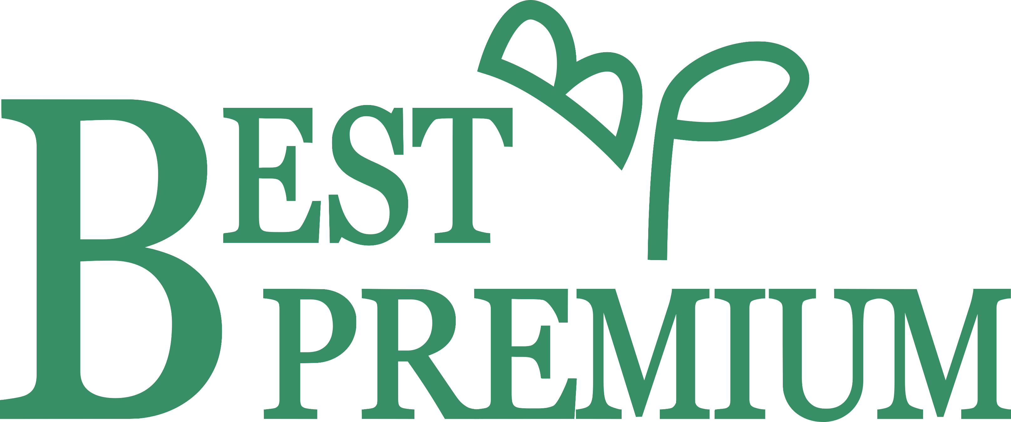 BestPremium Home