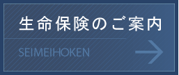 生命保険のご案内